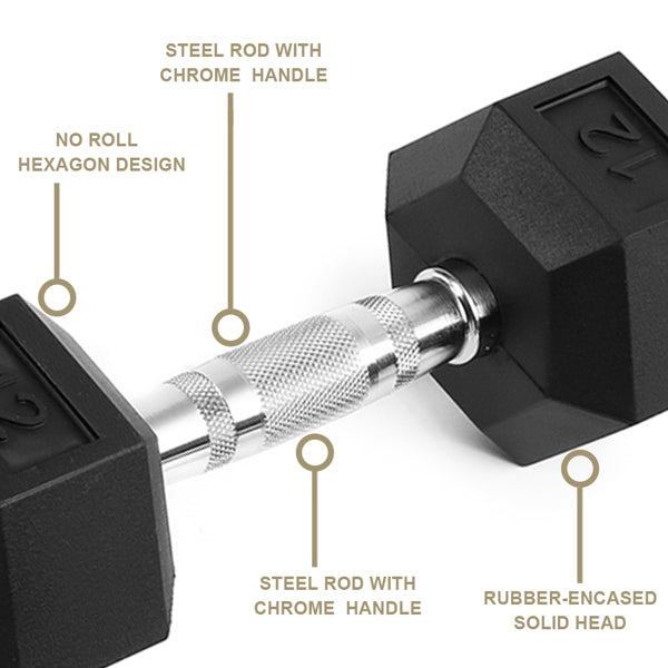 Rubber Coated Cast Iron Dumbbells 20LB Pair — Home Gym Strength